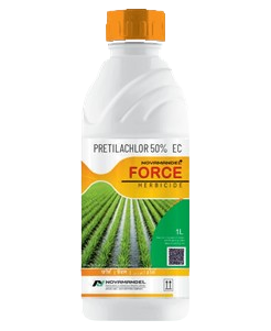 FORCE