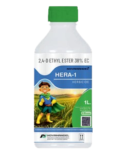 HERA-1