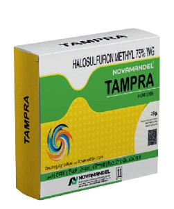 TAMPRA