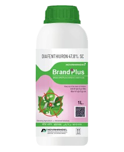 BRAND PLUS