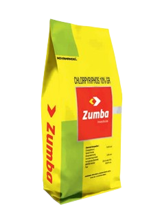 ZUMBA
