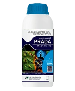 PRADA