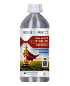 PENTAGON