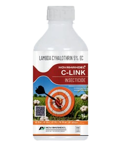 C-LINK