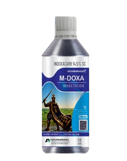 M-DOXA