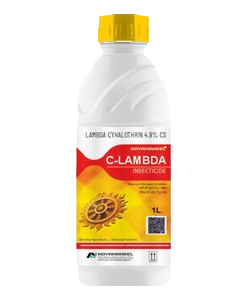 C-LAMBDA
