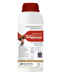 MUKUT PLUS