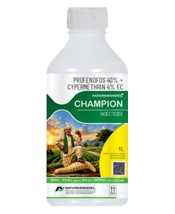 CHAMPION