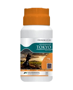 TOKYO