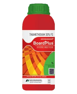 BOARD PLUS