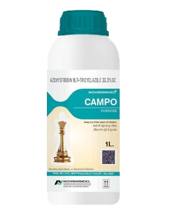 CAMPO