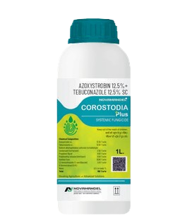 COROSTODIA PLUS