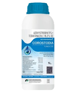 COROSTODIA
