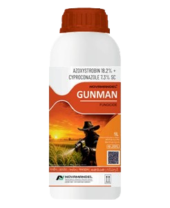 GUNMAN