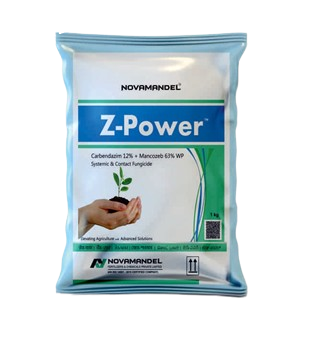 Z-POWER
