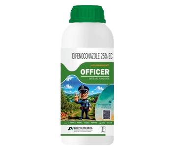 OFFICER