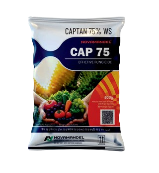 CAP 75