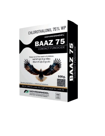 BAAZ 75