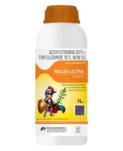 ROLEX ULTRA