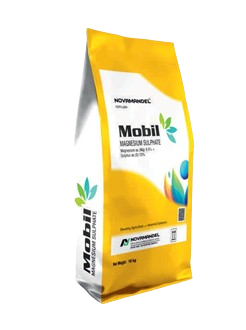 MOBIL 
