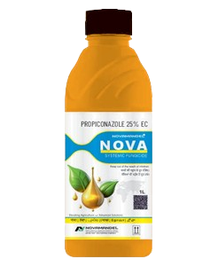 NOVA