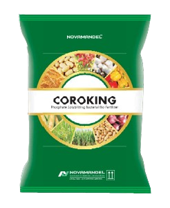 COROKING