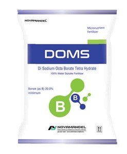 DOMS