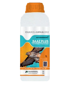 BAAZ PLUS