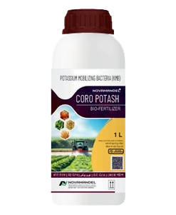 CORO POTASH 