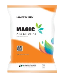 MAGIC 