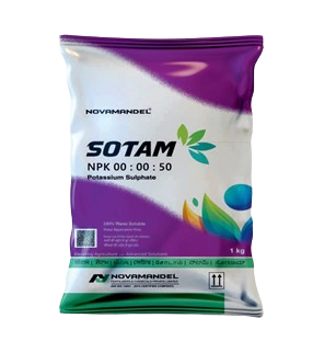 SOTAM 