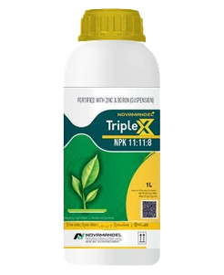 TRIPLE X 