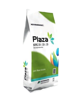 PLAZA