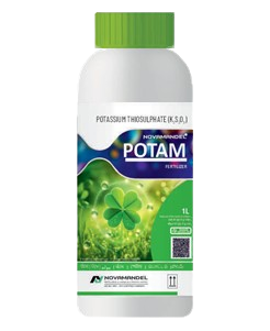 POTAM 