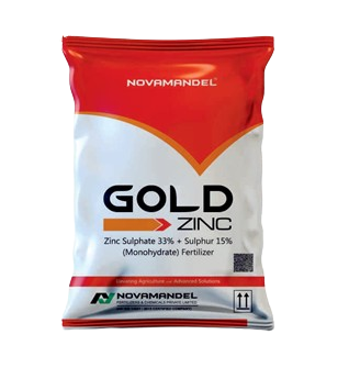 GOLD ZINC 